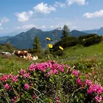 Apartmán Liftgasthof Zauchensee