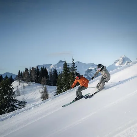 Lägenhet Liftgasthof *